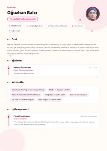 cv indir